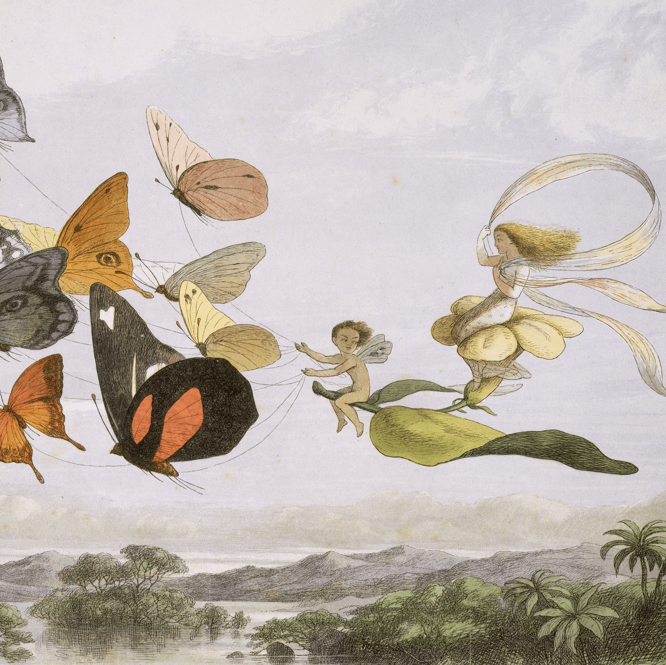 Feature illustration